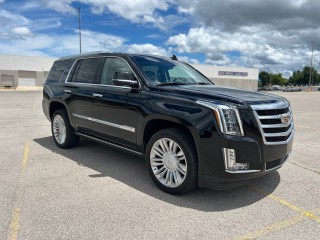 Image for 2017 Cadillac Escalade Premium Luxury ID: 7464364