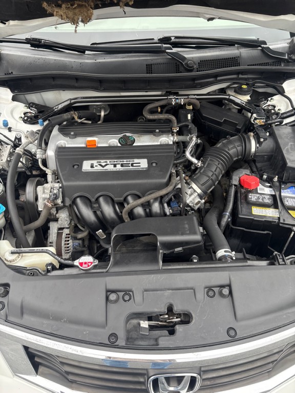 2009 Honda Accord Image 16