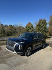 Image for 2020 Hyundai Palisade SEL ID: 6991849