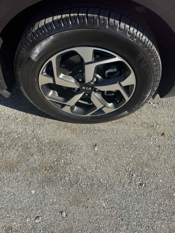 2022 Kia Sportage Image 4