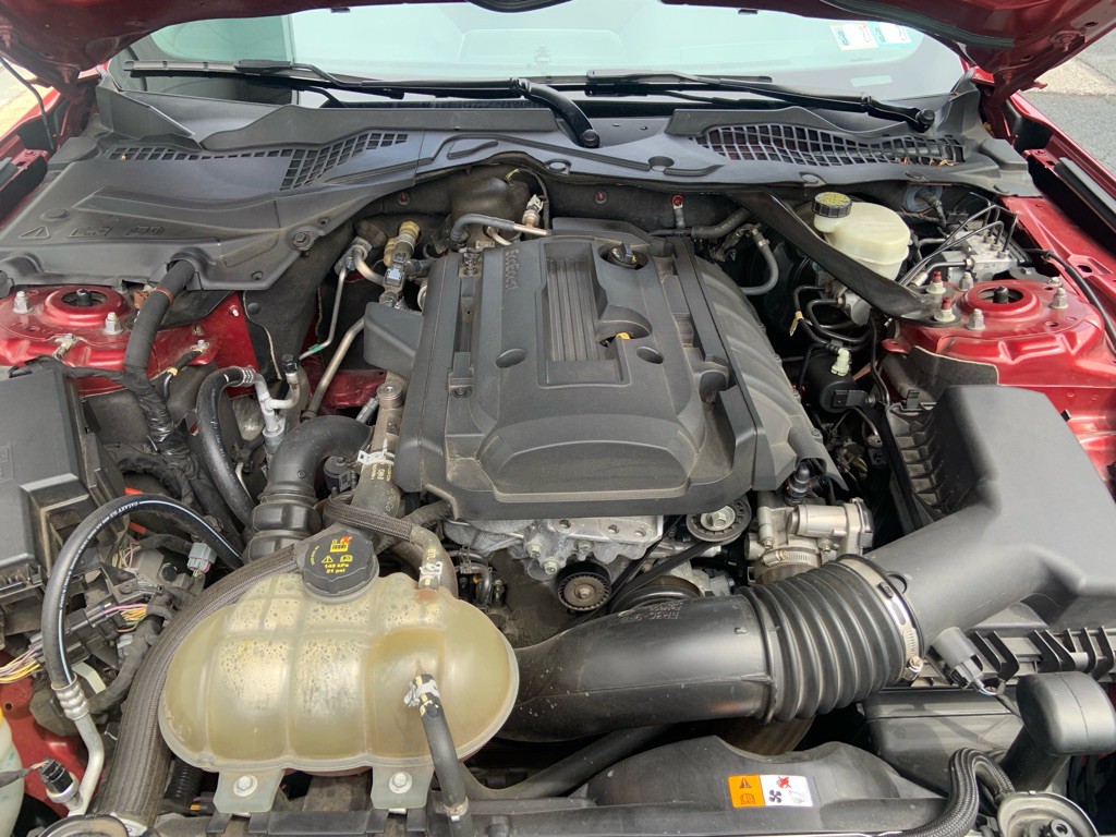 2016 Ford Mustang Image 19
