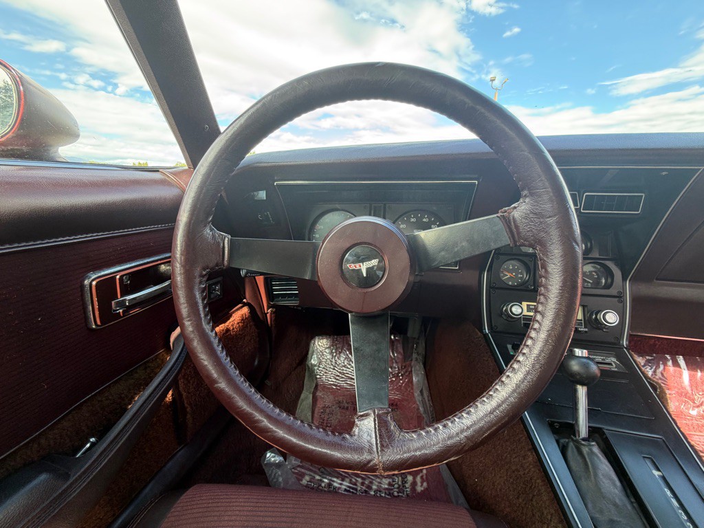 1980 Chevrolet Corvette Image 15