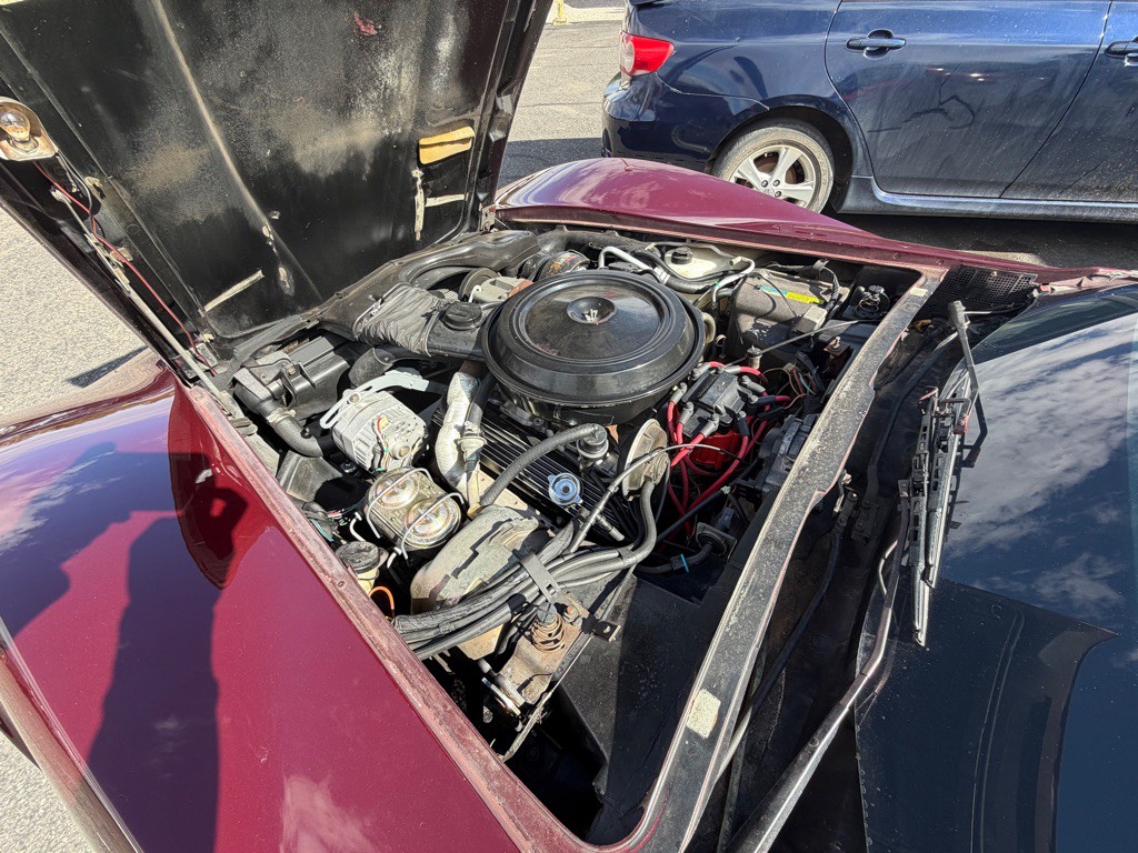 1980 Chevrolet Corvette Image 20