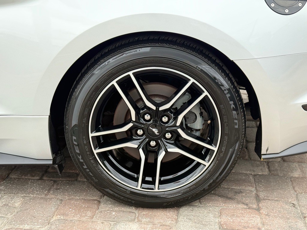 2019 Ford Mustang Image 13