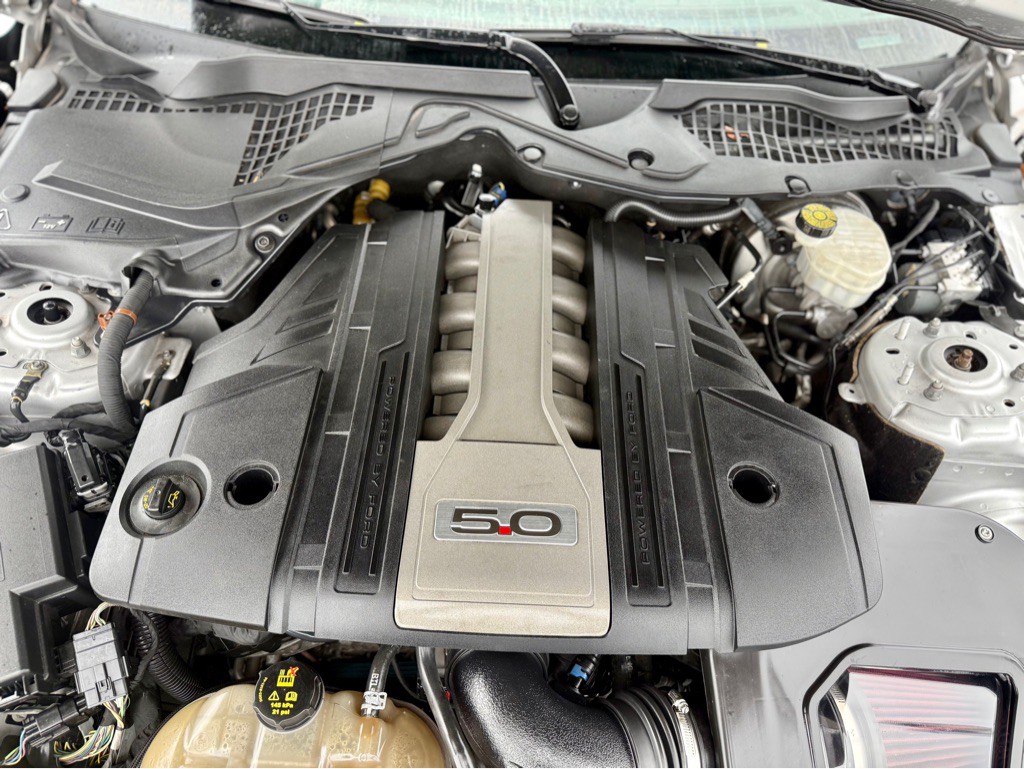 2019 Ford Mustang Image 22