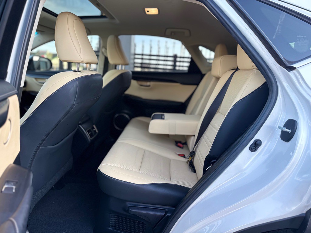 2018 Lexus NX Image 18