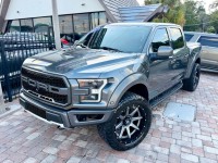 Image for 2019 Ford F-150 Raptor ID: 7738149