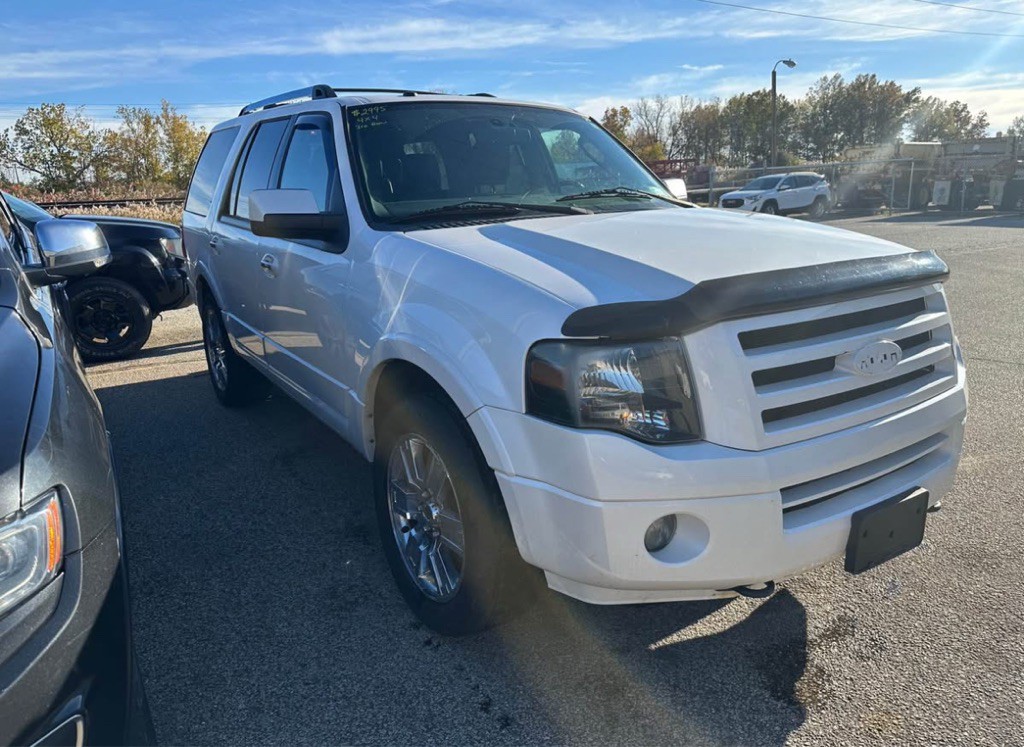 2010 Ford Expedition Image 4