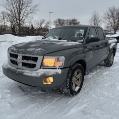 Image for 2011 Dodge Dakota SLT ID: 7150971