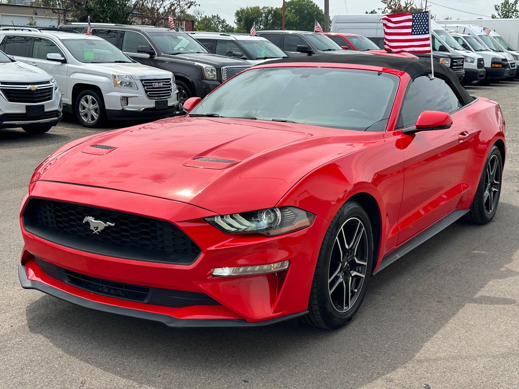 2019 Ford Mustang Image 1