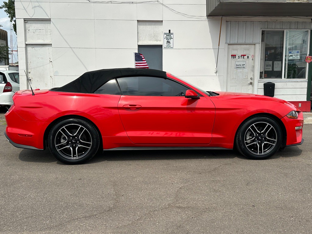 2019 Ford Mustang Image 5