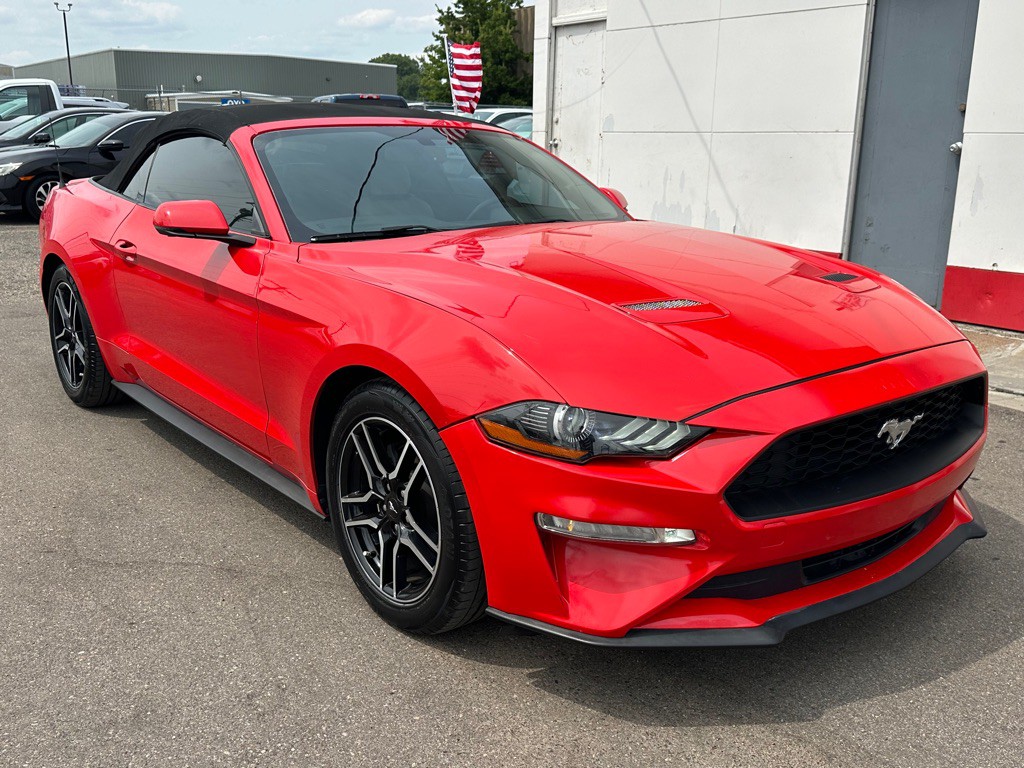 2019 Ford Mustang Image 6