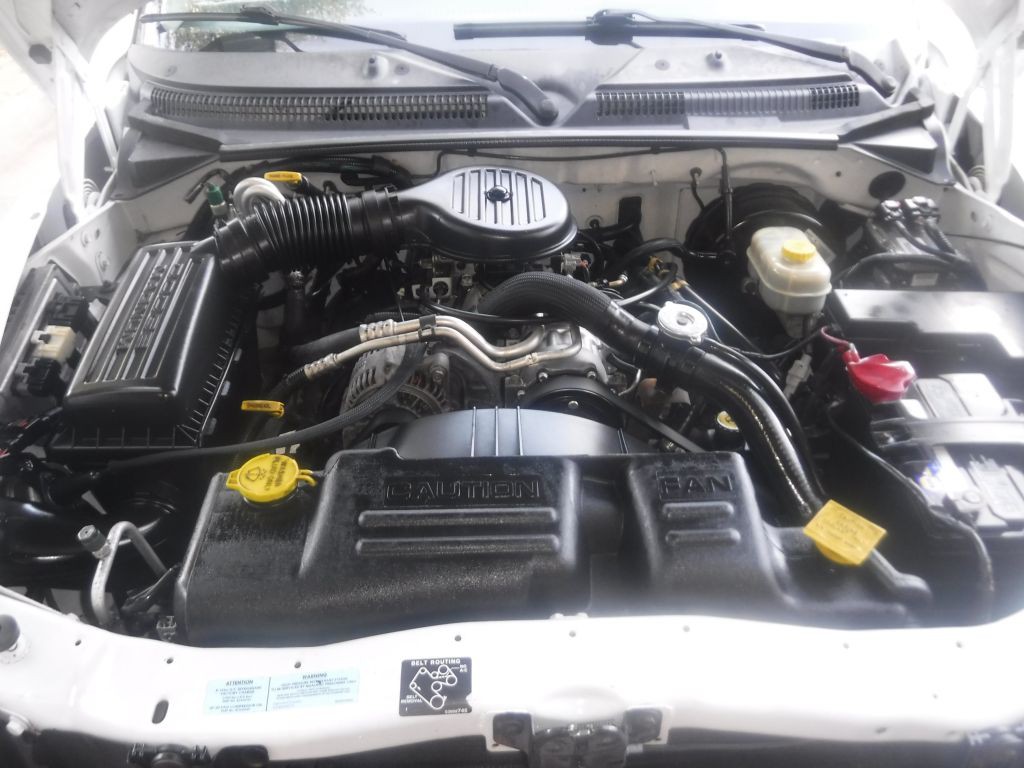 2001 Dodge Dakota Image 21