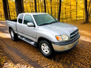 Image for 2002 Toyota Tundra Access Cab ID: 7701143