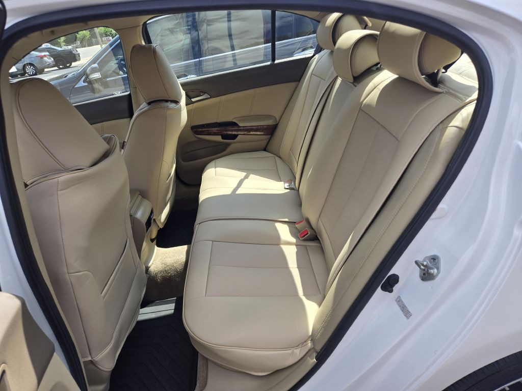 2010 Honda Accord Image 12