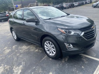 Image for 2019 Chevrolet Equinox LS ID: 7400649