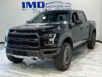 Image for 2020 Ford F-150 Raptor ID: 6732329