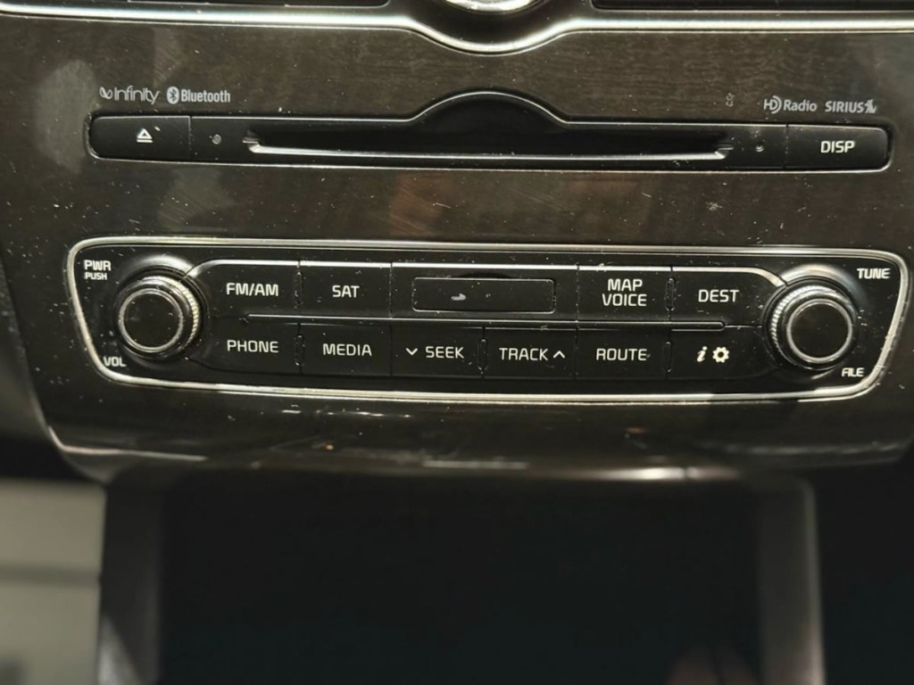 2014 Kia Cadenza Image 16