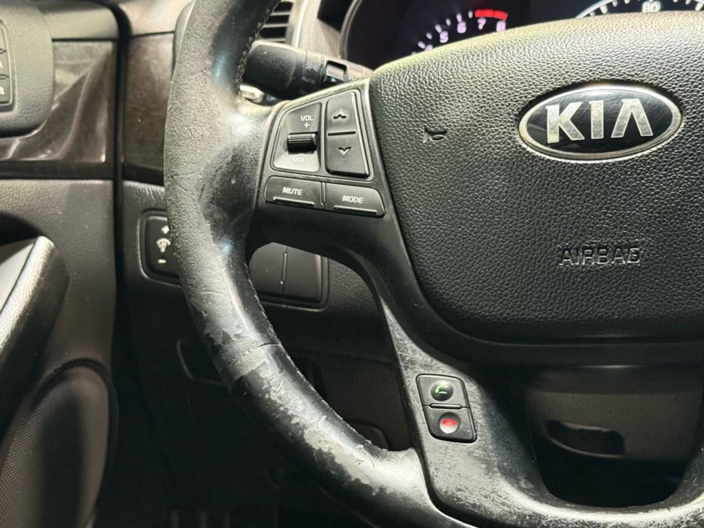 2014 Kia Cadenza Image 19
