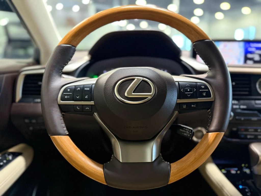 2017 Lexus RX 350 Image 19