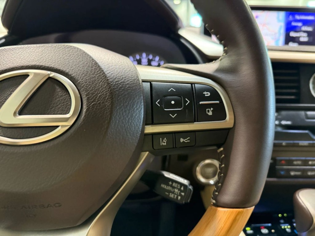 2017 Lexus RX 350 Image 21