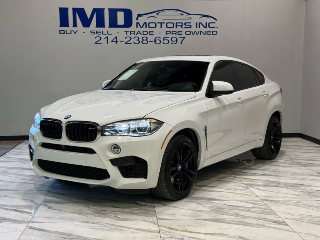 2019 BMW X6 Image 1