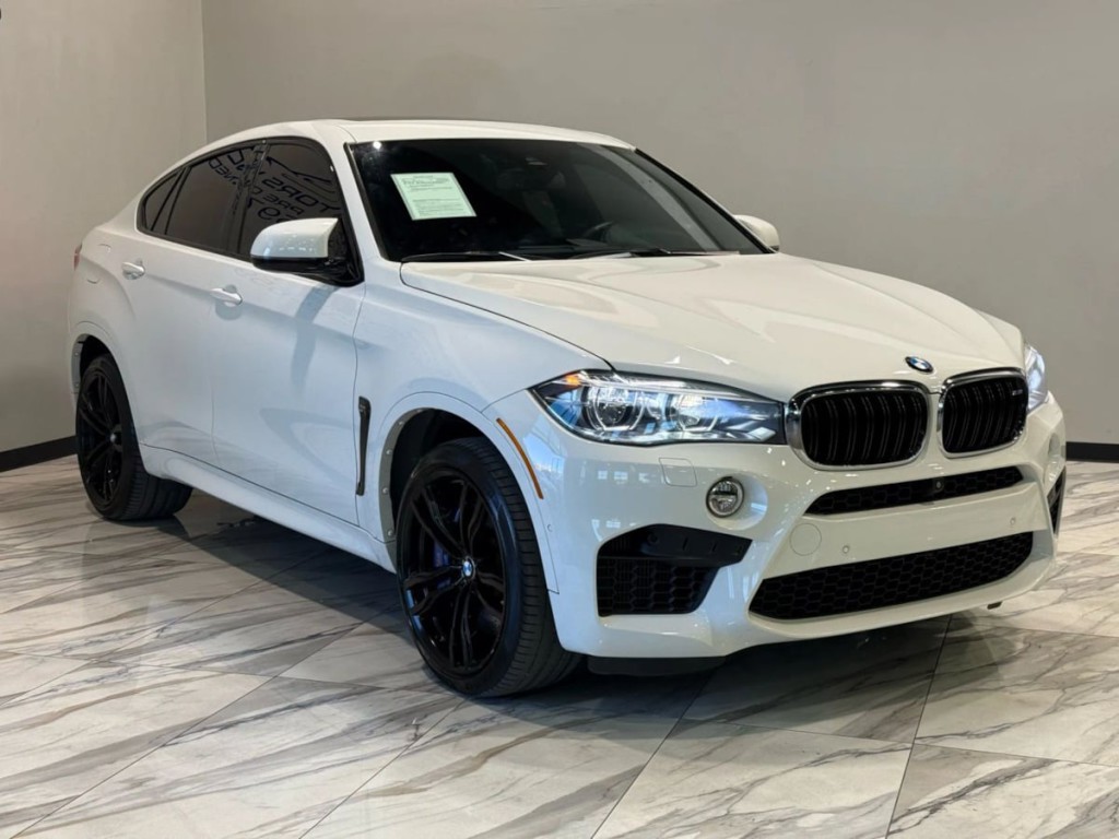 2019 BMW X6 Image 4