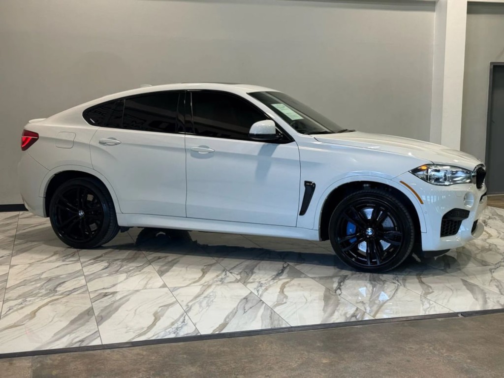 2019 BMW X6 Image 5