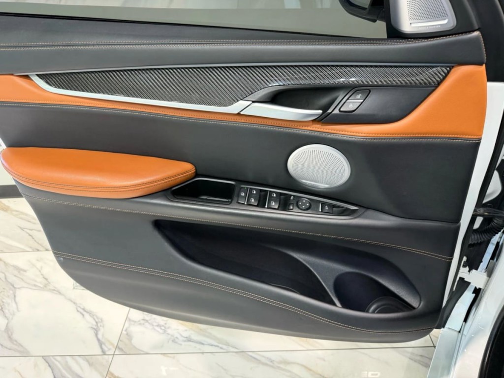 2019 BMW X6 Image 11