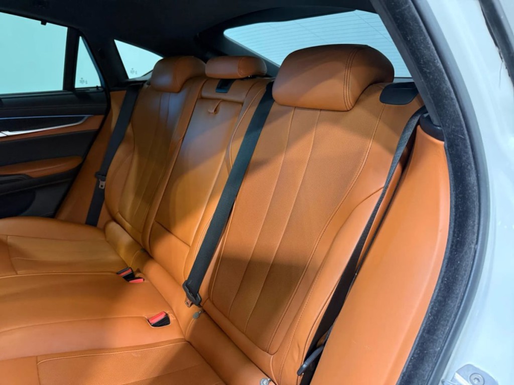 2019 BMW X6 Image 24