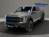 Image for 2024 Ford F-150 Raptor ID: 7292395