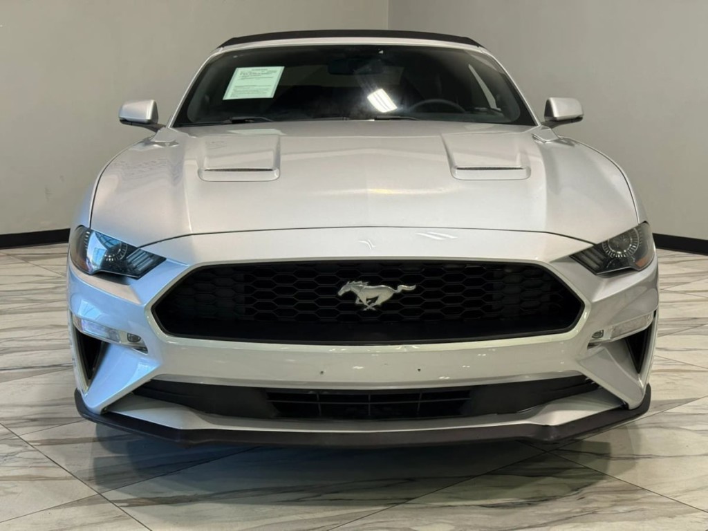 2019 Ford Mustang Image 3