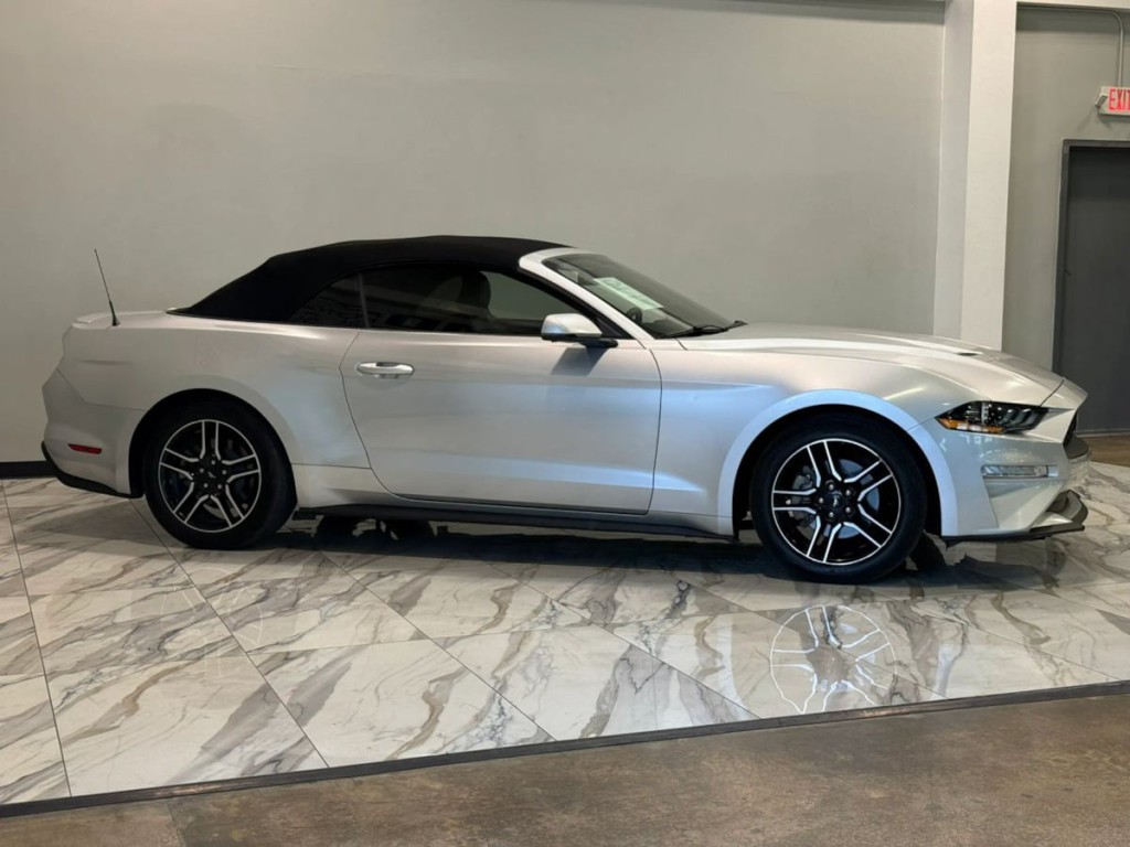 2019 Ford Mustang Image 5