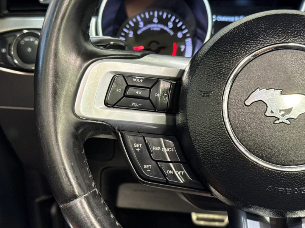 2019 Ford Mustang Image 18