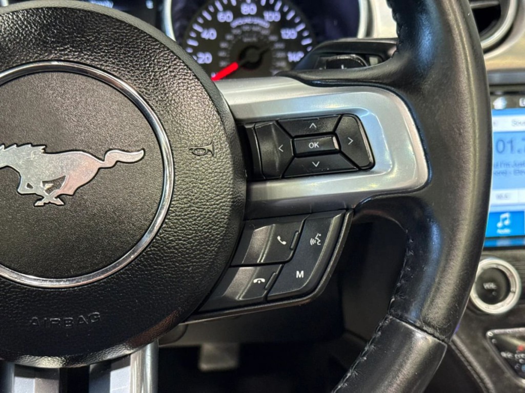 2019 Ford Mustang Image 19