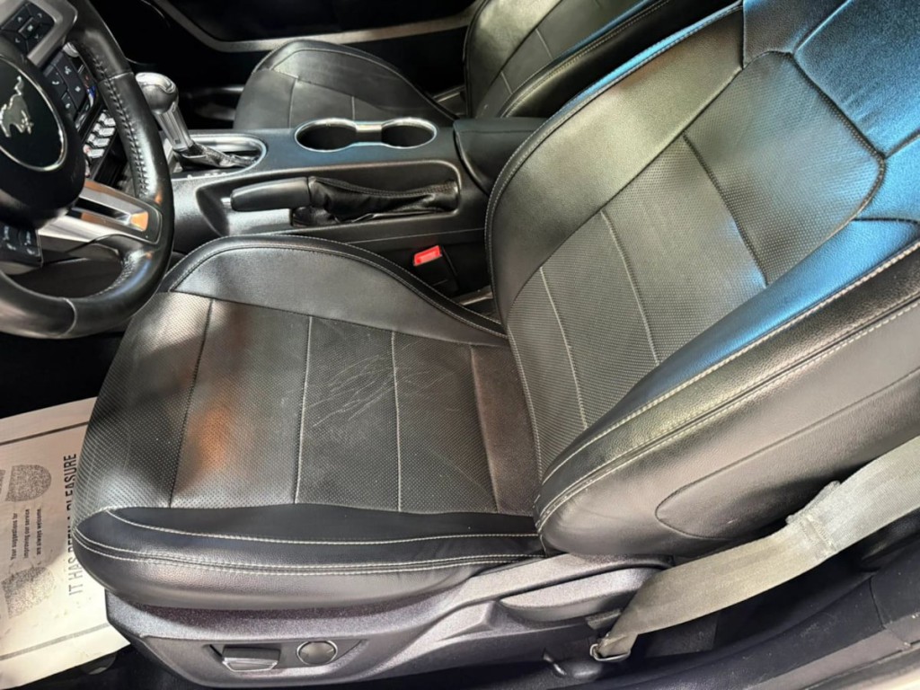 2019 Ford Mustang Image 24