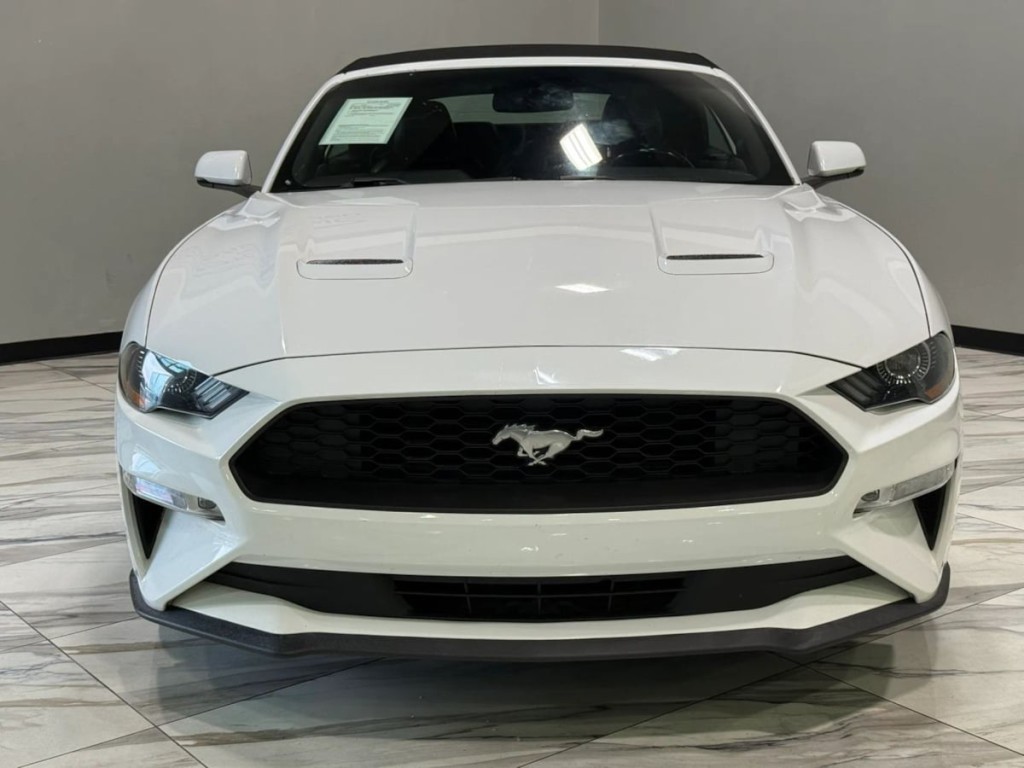 2019 Ford Mustang Image 3