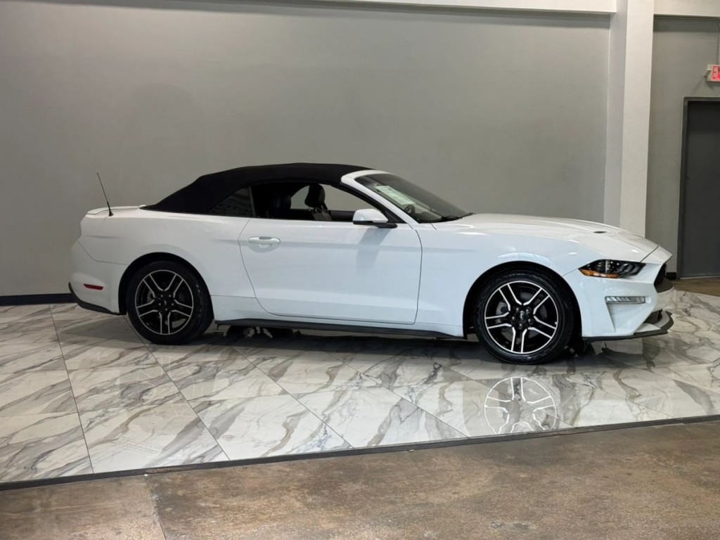 2019 Ford Mustang Image 5
