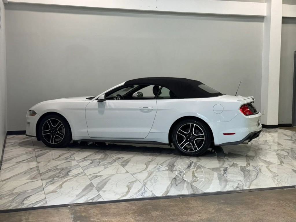 2019 Ford Mustang Image 9
