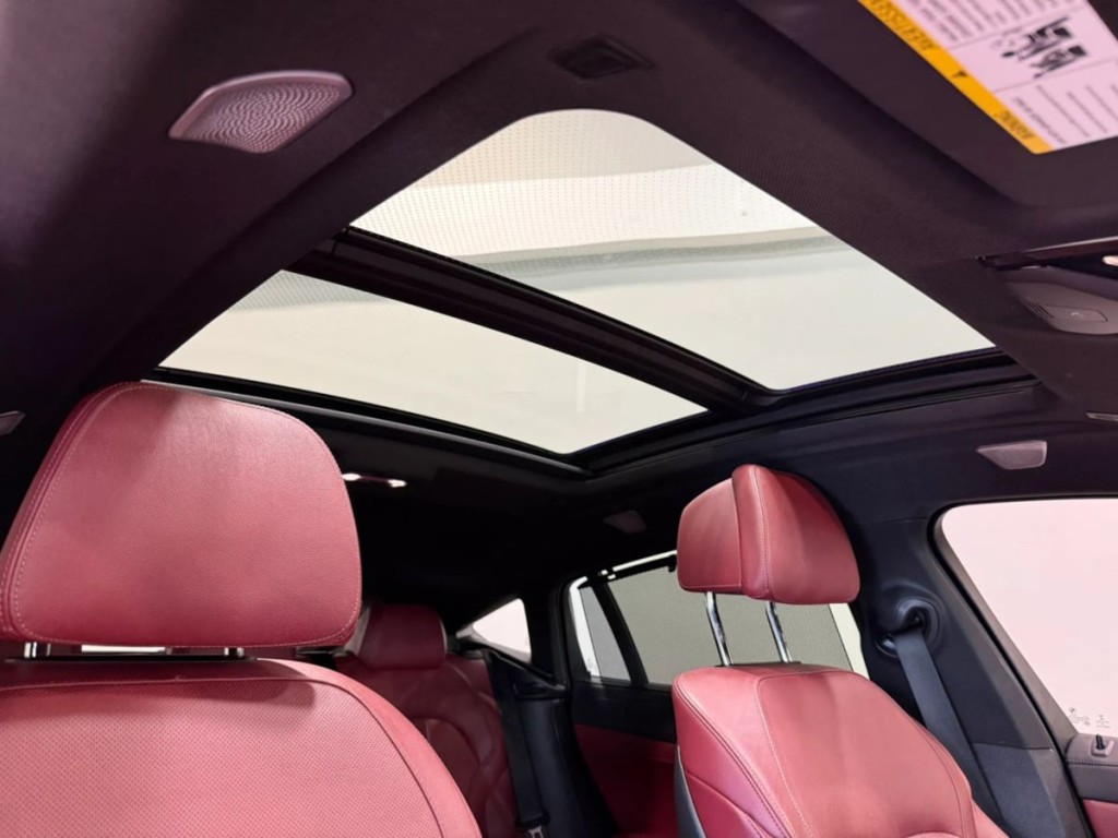 2021 BMW X6 Image 22