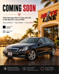 Image for 2014 Mercedes-Benz E-Class E 250 BlueTEC Luxury ID: 7431583