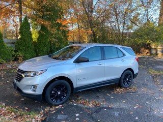 Image for 2018 Chevrolet Equinox LS ID: 6999487