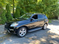 Image for 2015 Mercedes-Benz M-Class ML 350 4MATIC ID: 7500138