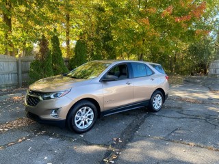 Image for 2019 Chevrolet Equinox LS ID: 7734353