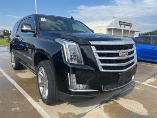Image for 2016 Cadillac Escalade Premium ID: 3027387