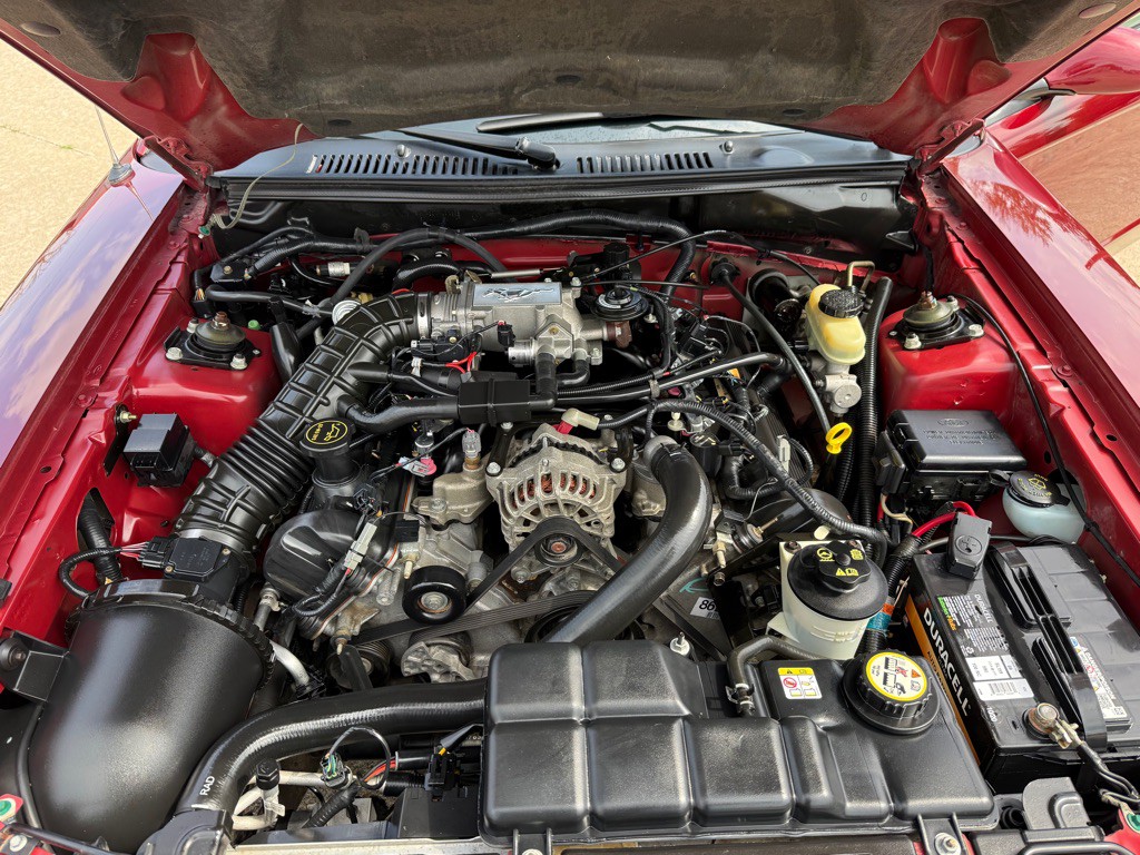 2004 Ford Mustang Image 14