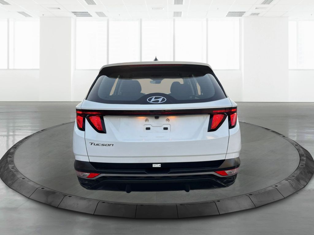 2024 Hyundai Tucson Image 6