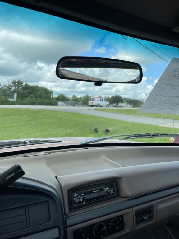 1995 Ford F-150 Image 3