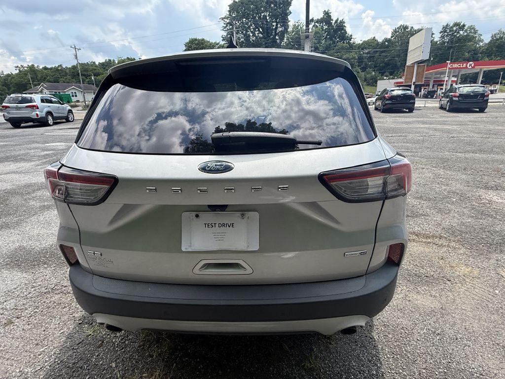 2020 Ford Escape Image 6