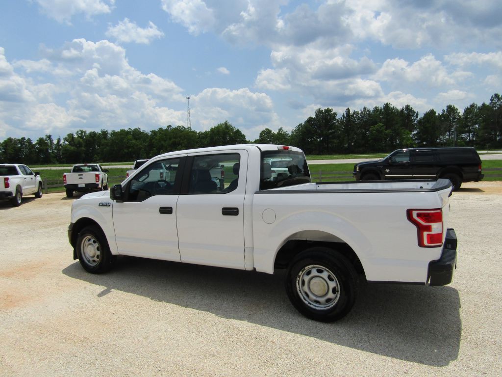 2019 Ford F-150 Image 11